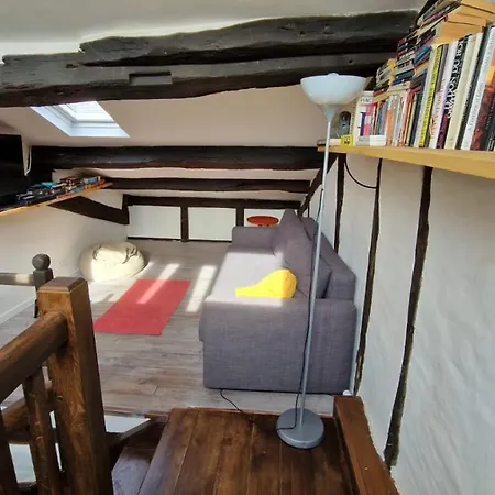 Maison Medievale Albigeoise En Centre Appartement *