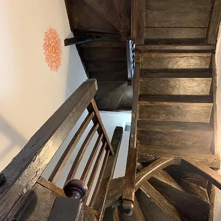 아파트 Maison Medievale Albigeoise En Centre