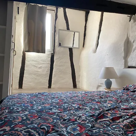 Maison Médiévale Albigeoise En Centre Albi