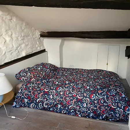 Apartamento Maison Médiévale Albigeoise En Centre *