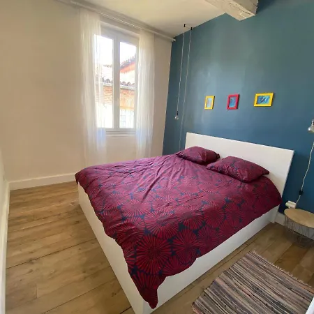 아파트 Maison Medievale Albigeoise En Centre *