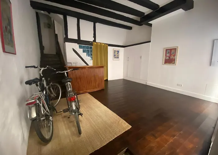 Maison Médiévale Albigeoise En Centre Apartamento *